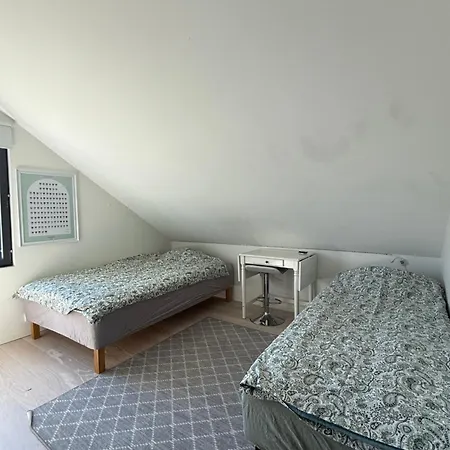 Slaktis House Luxury By The Sea * هانكو